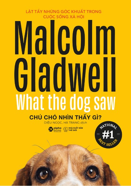 chu-cho-nhin-thay-gi_-lat-tay-nhung-goc-khuat-trong-cuoc-song-xa-hoi-malcom-gladwell