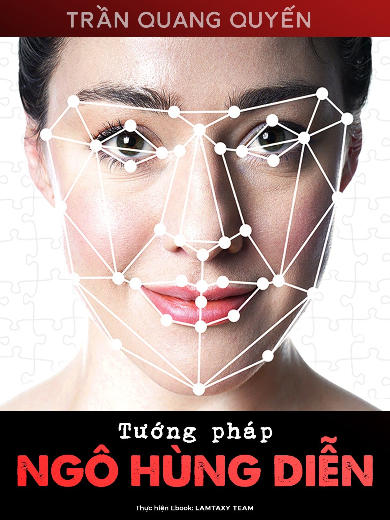 tuong-phap-ngo-hung-dien-tran-quang-quyen
