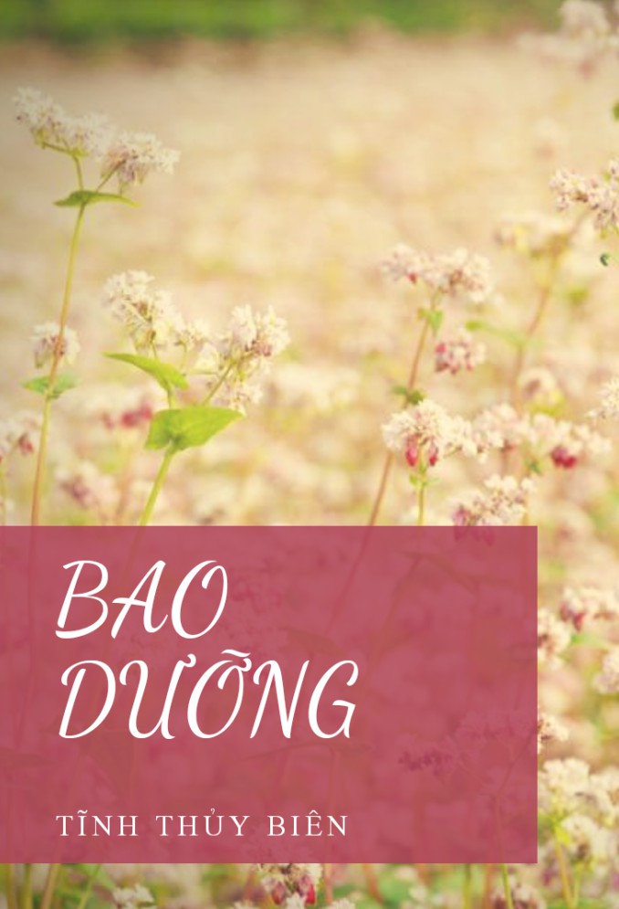 bao-duong-tinh-thuy-bien