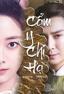 cam-y-chi-ha-lam-sac-su