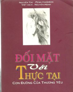 doi-mat-voi-thuc-tai-con-duong-cua-thuong-yeu-pema-chodron