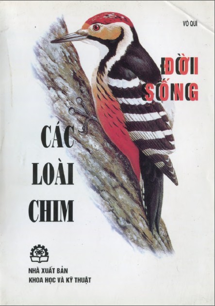 doi-song-cua-cac-loai-chim-vo-quy