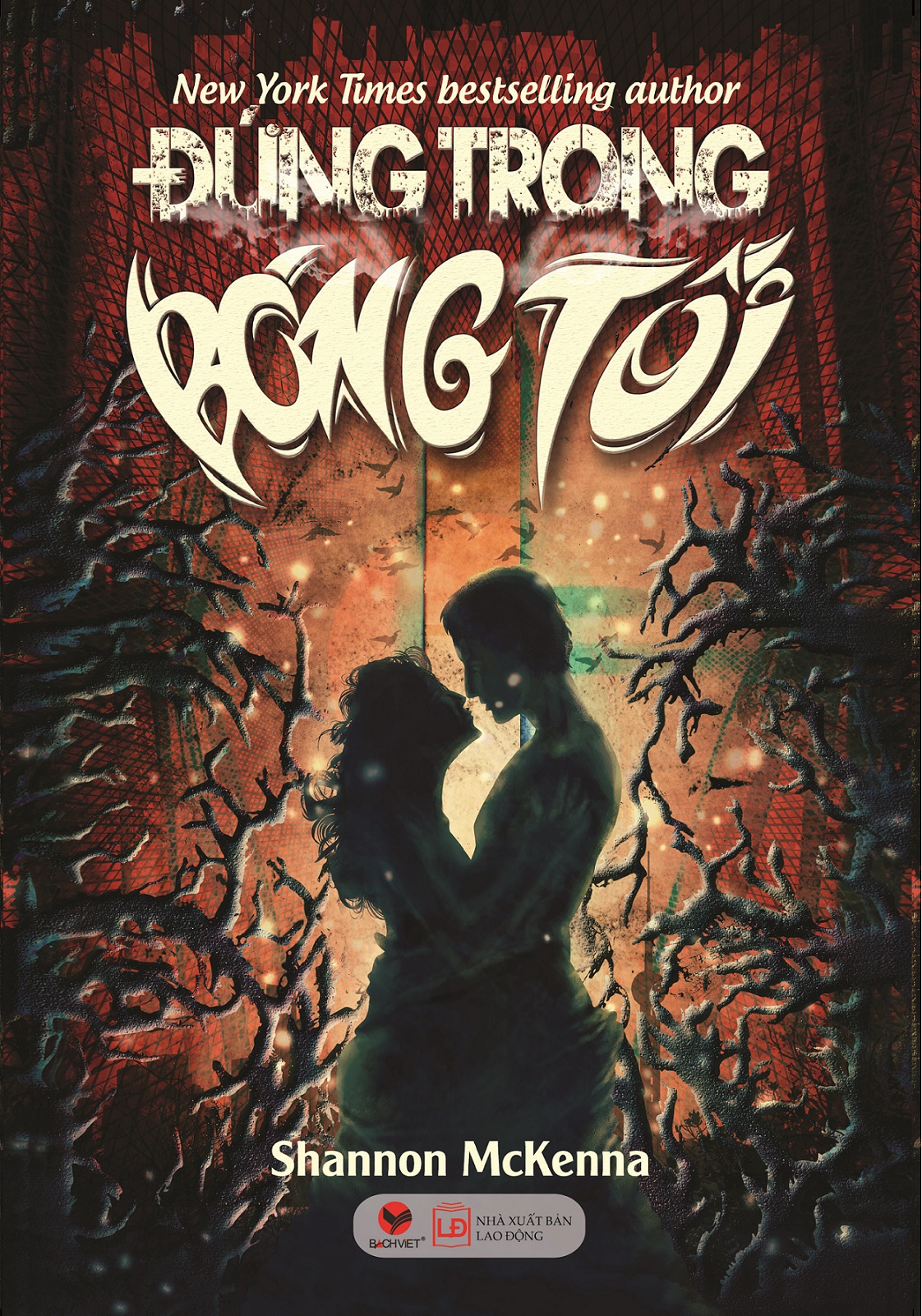 dung-trong-bong-toi-shannon-mckenna