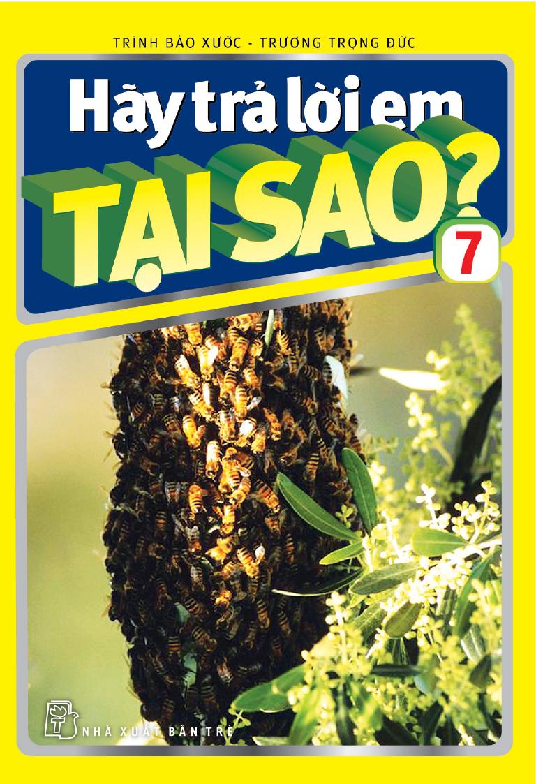hay-tra-loi-em-tai-sao-tap-7-trinh-bao-xuoc-truong-trong-duc