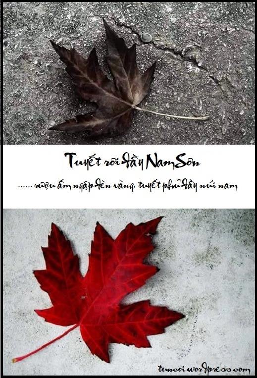 tuyet-roi-day-nui-tuyet-roi-day-nam-son