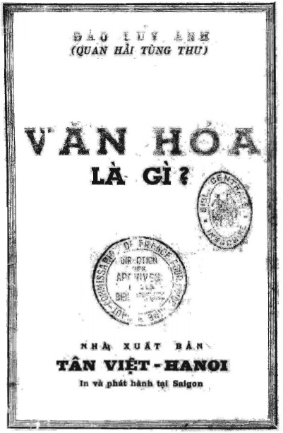 van-hoa-la-gi_-dao-duy-anh