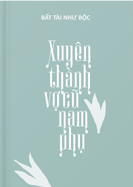 xuyen-thanh-vo-cu-nam-phu-5bc5d-bat-tai-nhu-pho
