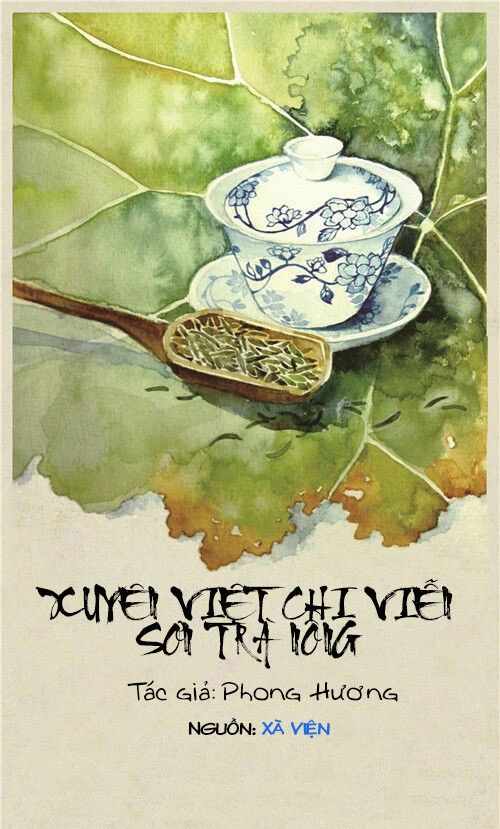 xuyen-viet-chi-vien-son-tra-nong-phong-huong